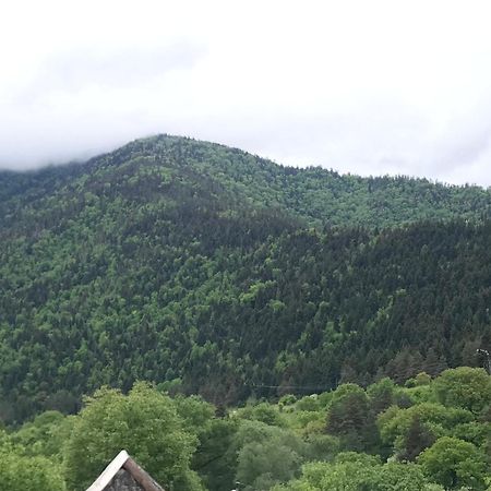 Zviad Guest House Borjomi Bagian luar foto