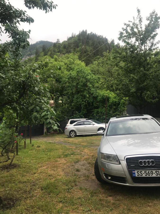Zviad Guest House Borjomi Bagian luar foto