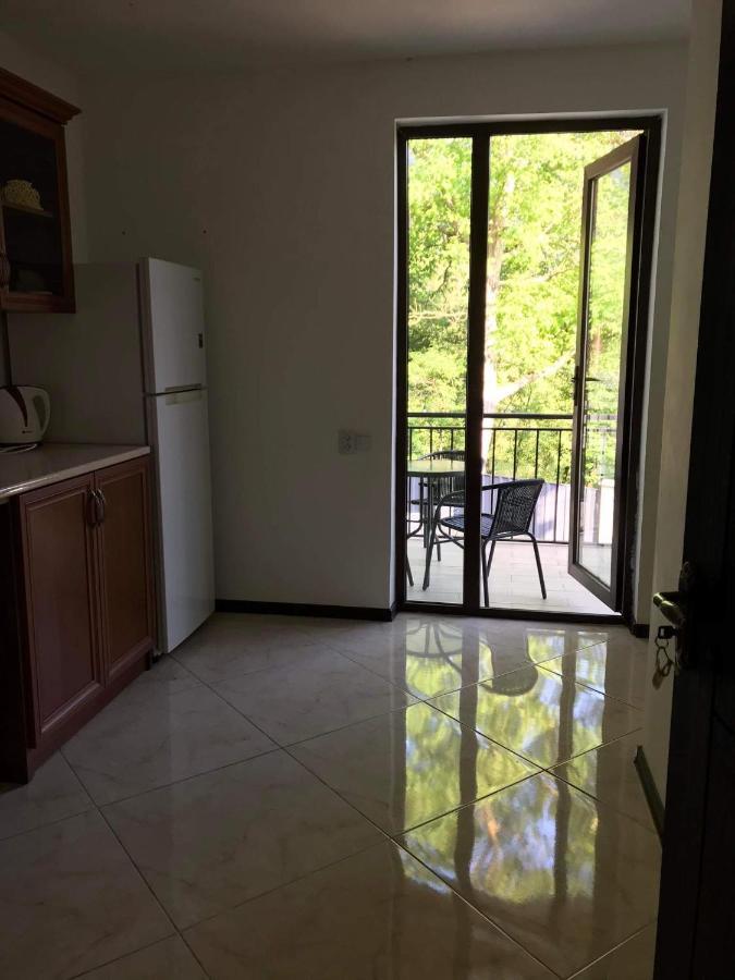Zviad Guest House Borjomi Bagian luar foto