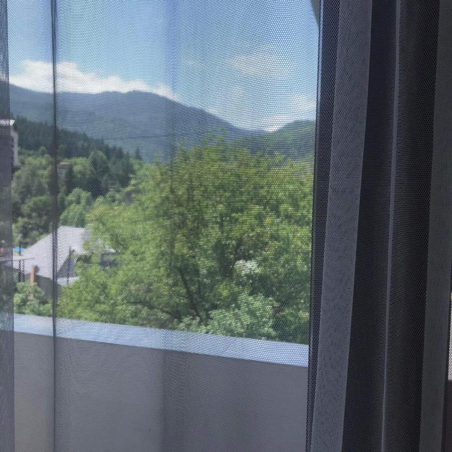 Zviad Guest House Borjomi Bagian luar foto