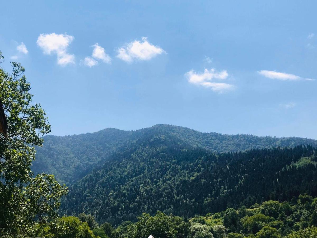 Zviad Guest House Borjomi Bagian luar foto