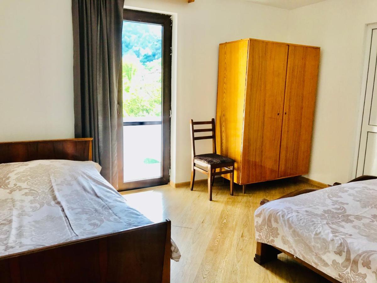 Zviad Guest House Borjomi Bagian luar foto