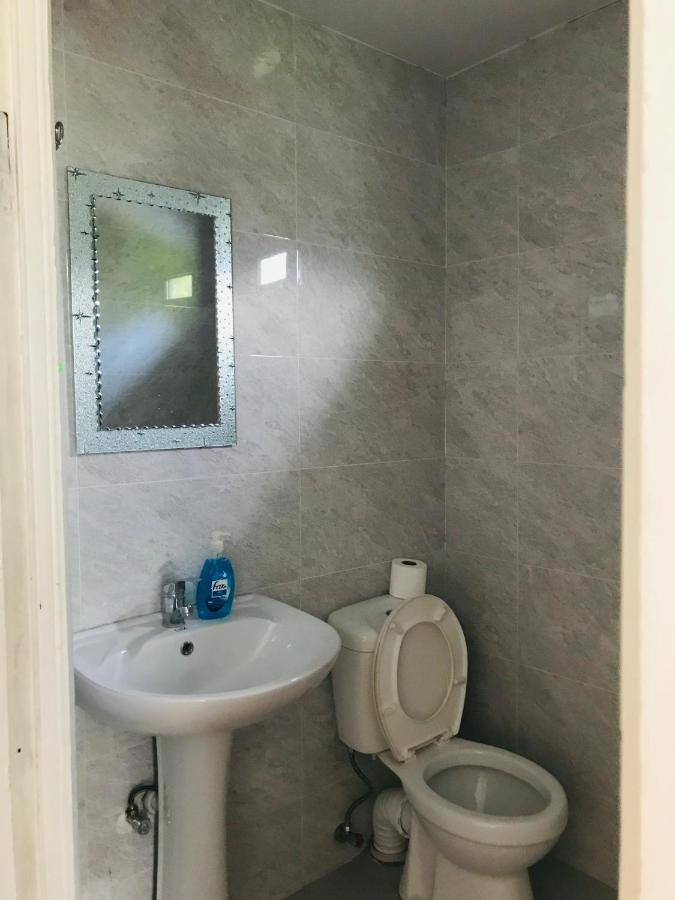 Zviad Guest House Borjomi Bagian luar foto