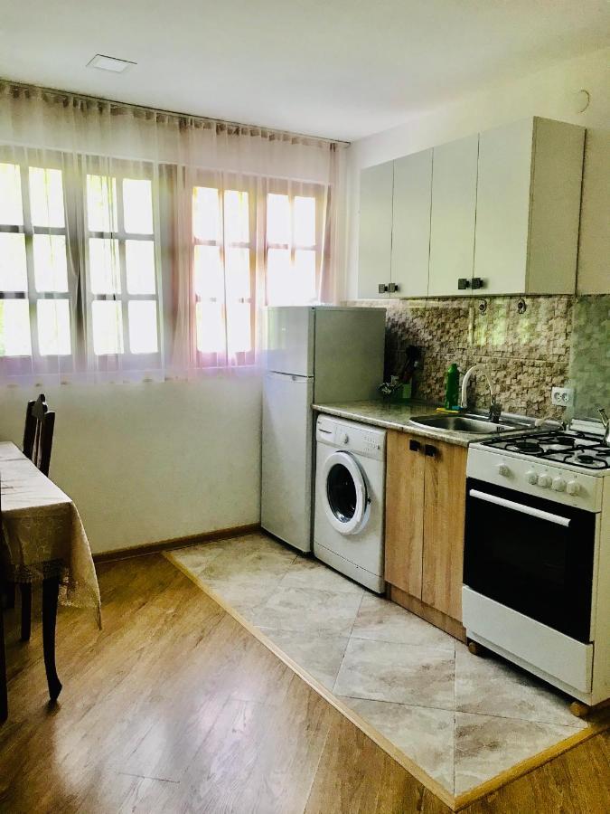 Zviad Guest House Borjomi Bagian luar foto