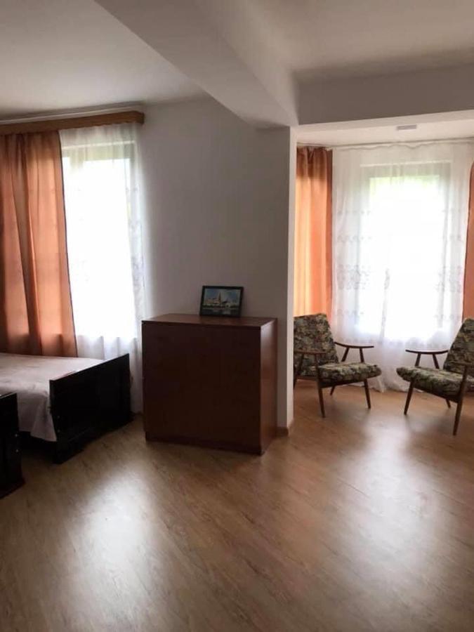Zviad Guest House Borjomi Bagian luar foto