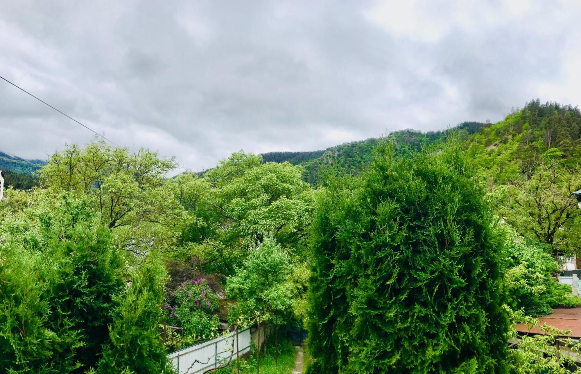 Zviad Guest House Borjomi Bagian luar foto