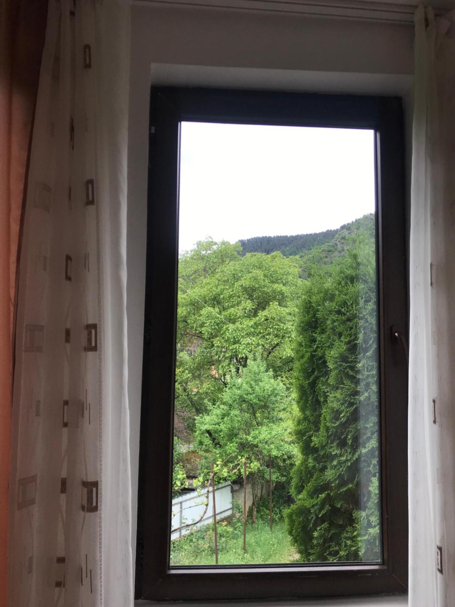 Zviad Guest House Borjomi Bagian luar foto