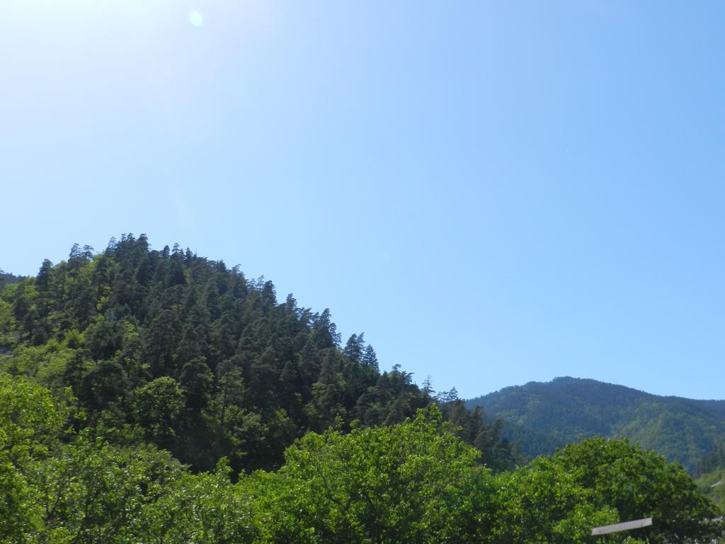 Zviad Guest House Borjomi Bagian luar foto