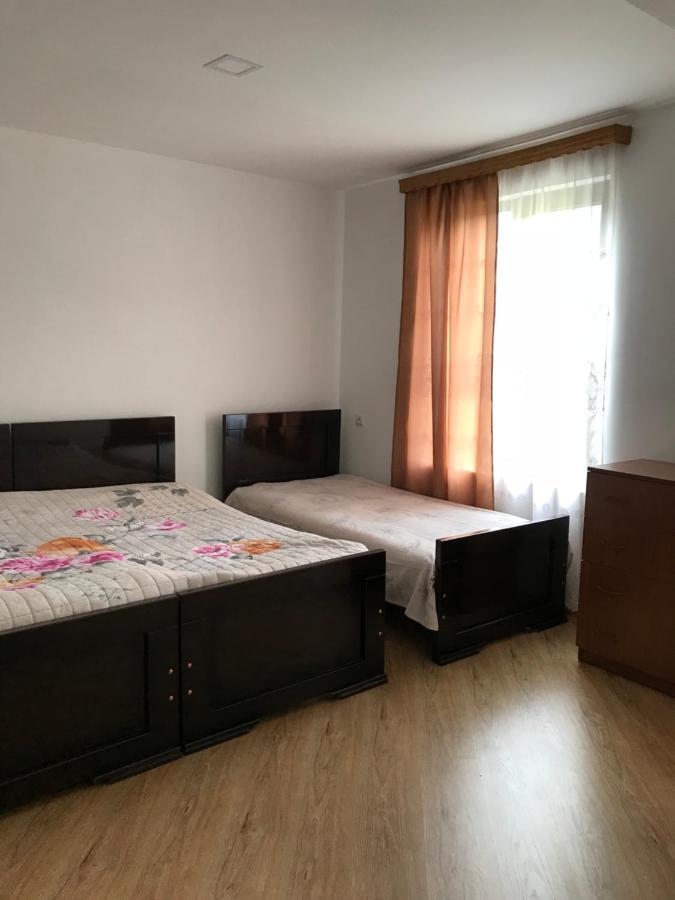 Zviad Guest House Borjomi Bagian luar foto